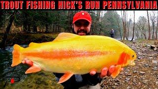 Trout Fishing Pennsylvania's Hicks Run