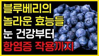 블루베리의 놀라운 효능들 눈 건강부터 항염증 작용까지 | 지금 건강