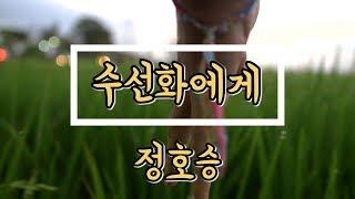 [시녀] 시 읽어주는 여자 "도언" 정호승 -수선화에게- 시낭송, ASMR,속삭임,힐링음악,