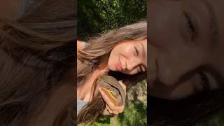 Moving a Turtle from a ROAD to a POND!  #turtle #paintedturtle #turtlerescue #savetheturtles