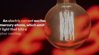 Illuminating the World: A Detailed Exploration of How Light Bulbs Work