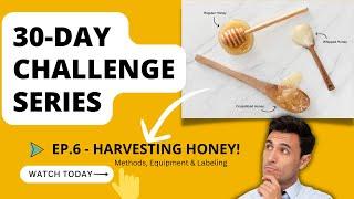 DAY 6 - Harvesting Honey (30-Day Challenge Series) Harvesting methods, honey extractors, handling