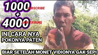 begini cara cepat mendapatkan 1000 subscriber dan 4000 jam tayang gratis alami