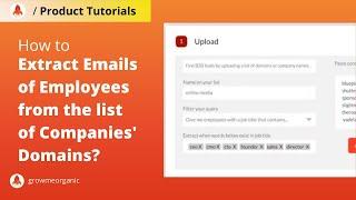 How to Extract Emails of Employees from the list of Companies' Domains?