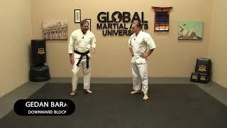 Shotokan - Journey to Black Belt with Charles - 9th Kyu White Belt - Class 3