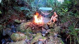 WILD CAMPING SOLO BUSCRAFT SURVIVAL TENT EASY - DELICIOUS SOUTH OF BRAZIL - CAMPFIRE