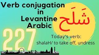 Conjugating the verb to take off, undress on all tenses in Levantine Arabic No 227  شلح