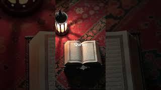Surah Insan ayat27-28 urdu translation #quran #viralvideo #shortvideo #islamicspeaker #quranbynusrat