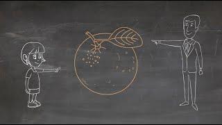 Integrative vs. Distributive Negotiation - The Orange Juice Story (Doodle Video)