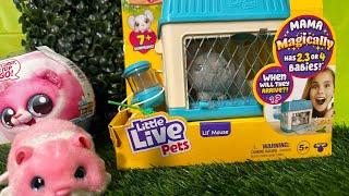 Unboxing ASMR Hamster Mania and Little live Pets Mama surprise |14 minutes |Unboxing ASMR