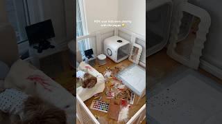 clean my puppy’s apartment with me asmr #shorts #asmr #cleaning #puppy #poodle #viralvideo #dog