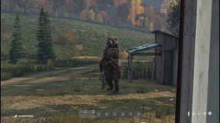 DayZ - Podpivas Chernarus Encounters (Plus Bonus Clip)