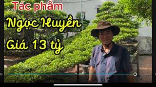 Báo giá công khai tác phẩm Ngọc Huyền giá 13 tỷ tại vườn anh Sơn cảnh Thụy yên Dũng Bắc Giang