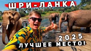 Шри-Ланка 2025 КРУЧЕ Таиланда? ИДЕАЛЬНЫЙ ОТДЫХ: Унаватуна и Пиннавела - СЛОНЫ, пляжи, ЦЕНЫ, отель!