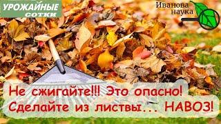 Превращаем ЛИСТВУ, СОЛОМУ и ОПИЛКИ в НАВОЗ. Преводим минеральное в органическое!