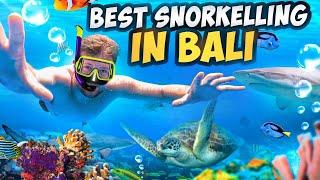 The BEST Snorkeling in Bali - Menjagan Island | Bali Travel 2023 