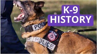 The reason German Shepherd became police dogs