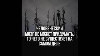 Подпишись! Новые факты каждый день #интересно#интересныефакты #факты#история#шок#развитие#shorts