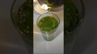 Darling ️ | sansani water candle at home  #tiktok #video #shorts