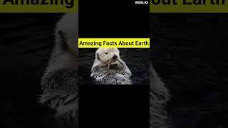 Top Interesting Facts About Earth | Amazing Facts | #shorts #youtubeshorts #factxpress