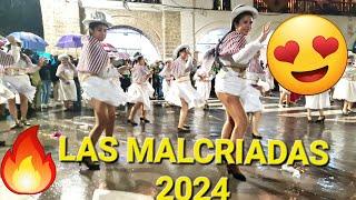 #lomejor del Carnaval Ayacuchano, LAS MALCRIADAS 2024