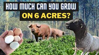 How to Plan a 6-Acre Homestead For Maximum Production