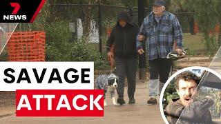 Hunt for suspect after elderly couple savagely bashed at Fremont Park | 7 News Australia