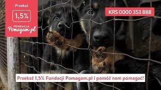 ️Przekaż 1,5% podatku Fundacji Pomagam.pl i ratuj zwierzęta. Wpisz KRS 0000353888 w rozliczeniu PIT