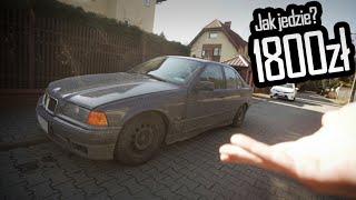 Kupiliśmy e36...Znowu xD - 2 litry, Gwint, Hydro, Szpera - EP 55