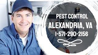 Monticello Park Virginia Pest Control - Call 1-571-290-2156 For An Appointment
