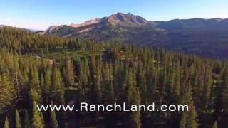 Floresta Ranch for Sale, CO Luxury Ranch - Mason & Morse Ranch Company