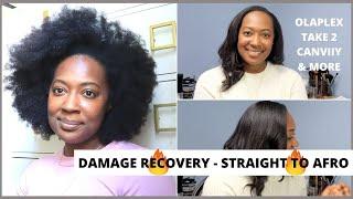 Straight Back To My Afro - A Restorative Wash Day | ALOVE4ME