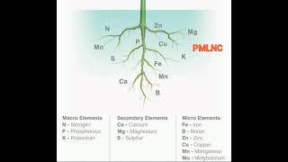 Macro Element,  Secondary Element, Micro Element  - PMLNC