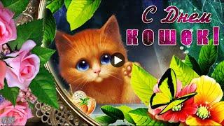  С днем Кошек cat Day Международный день кошек прикольные поздравления Красивая видео открытка 