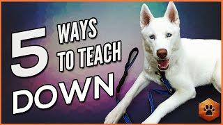 How to Teach a Dog to Lie Down - 5 Alternate Methods for All Dogs