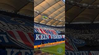 HAMBURGER DERBYWOCHE ️ - KEIN VEREIN WIRD JE SO SEIN  #hsv #nurderhsv #volksparkstadion #fans