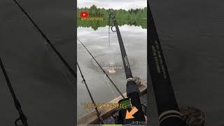 New config amber #russianfishing4 #rf4 #amberlake #fishing #mjplay #