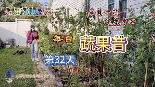 妞妞健康厨房  每日蔬果昔 第32天。食疗。健康。降三高。清除毒素。非药而愈。素食。每日一杯，健康身心。（20240408）