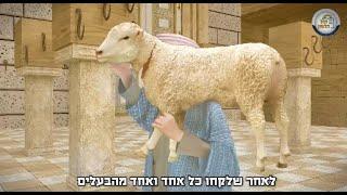 סרט הקרבת וצליית קרבן פסח בבית המקדש - עברית