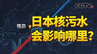 日本核污染水排海4000天后海洋啥样？日本将全球安全置于何地？| CCTV中文国际