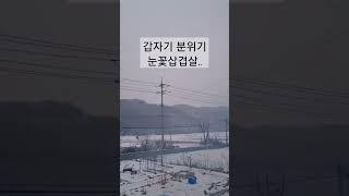 눈꽃삼겹살, 급폭설, 농막, 주말농장