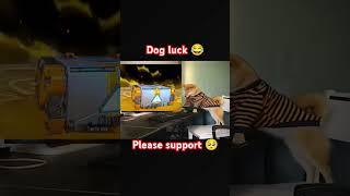 Dog luck #freefire #shortvideo #pizza  #gaming #evo #spin #funny #ffviral