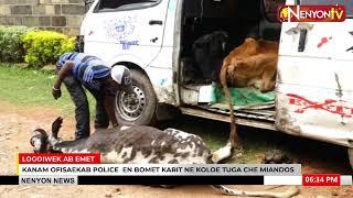 POLICE IN BOMET IMPOUND A VEHICLE TRANSPORTING 6 SICKY COWS TO A SLAUGHTER HOUSE