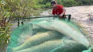 The village girl used many simple methods to catch many big fish