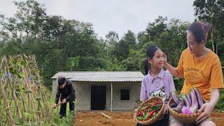 Selling vegetables with Aunt Luu and studying - The old lady weeds and takes care of the garden