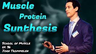 Muscle Protein Synthesis with Jorn Trommelen