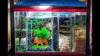 Sump Filter | 60 gallon aquarium | How to make sump filter | Alternative of Canister filter