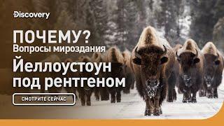 Йеллоустоун под рентгеном | Почему? Вопросы мироздания | Discovery