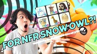 Trading MY NFR SNOW OWL IN Adopt Me 2024? | LOOK WHAT THEY OFFER FOR IT!