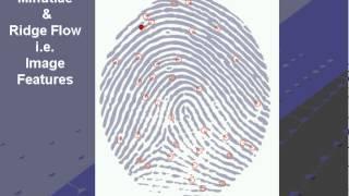 Fingerprint Identification: The Role of Research in Fortifying the Forensic Sciences